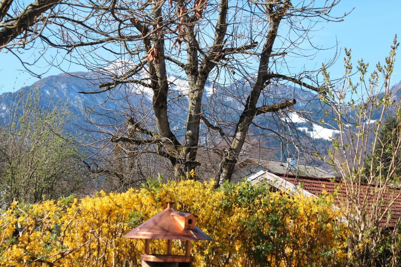 Villa Fetznhof-Zuhaus Grassau  Exterior foto